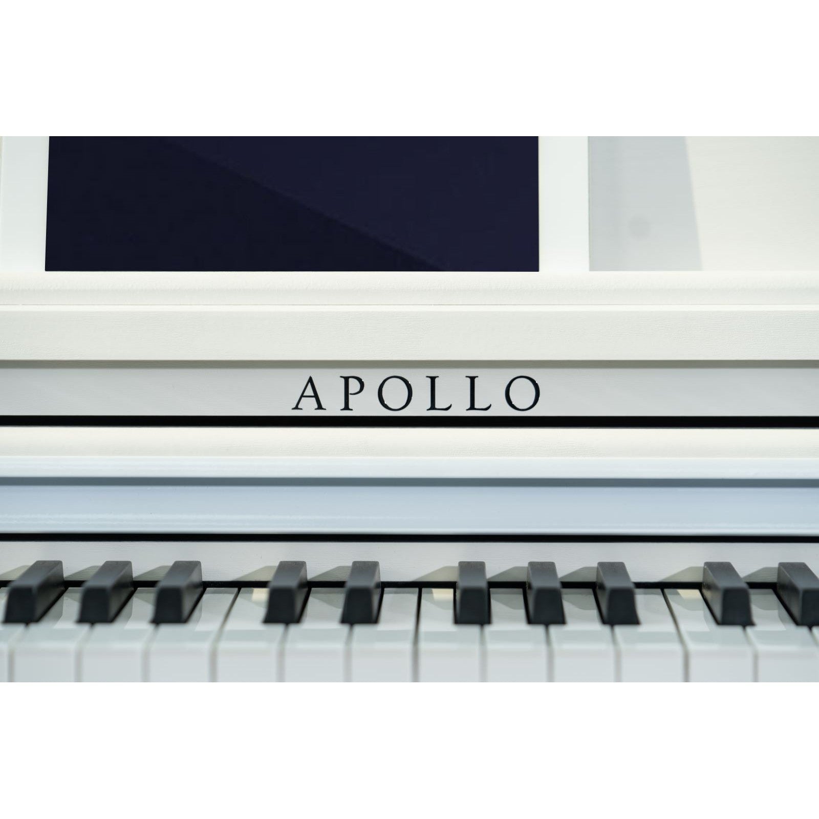 Đàn Piano Điện Apollo DP-66 - Việt Music