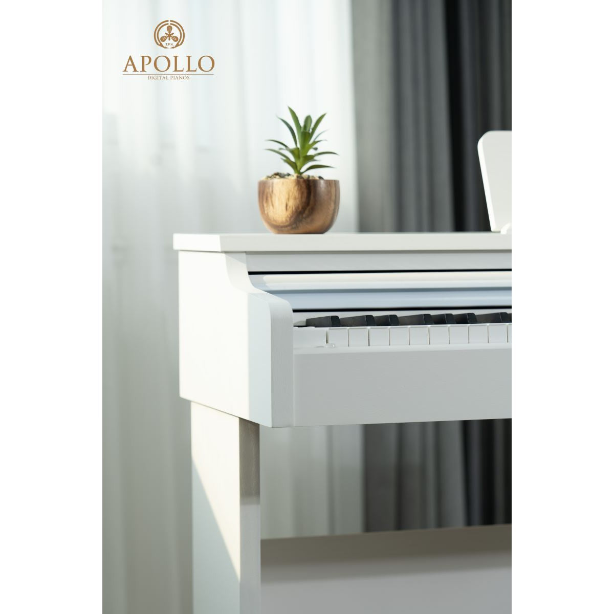 Đàn Piano Điện Apollo DP-66 - Việt Music