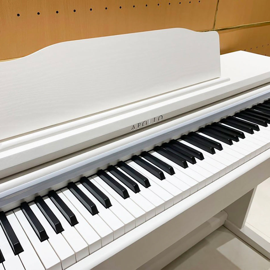 Đàn Piano Điện Apollo DP-66 - Việt Music