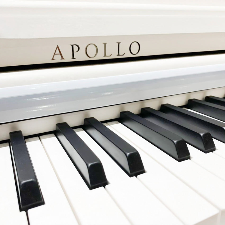 Đàn Piano Điện Apollo DP-66 - Việt Music