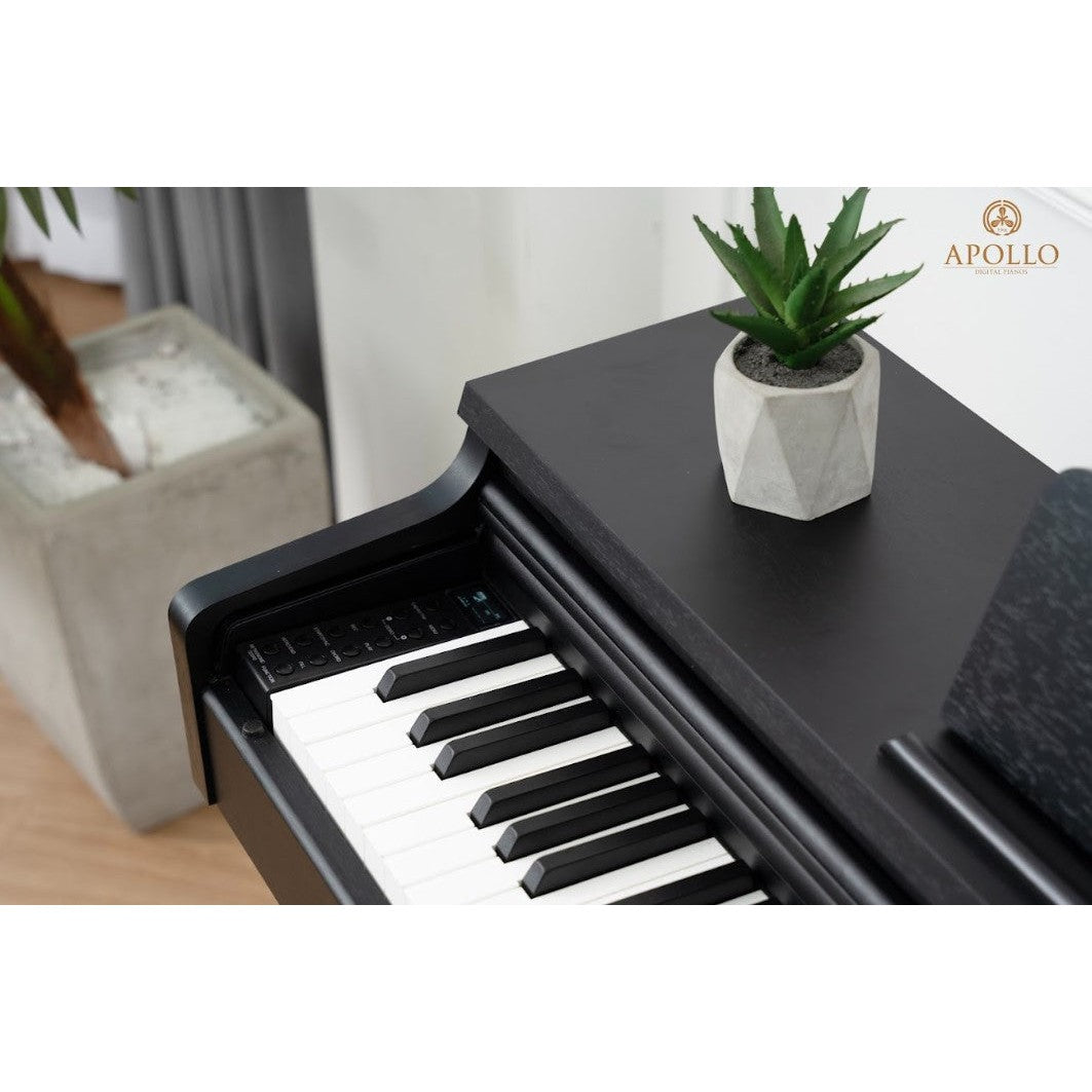 Đàn Piano Điện Apollo DP-66 - Việt Music