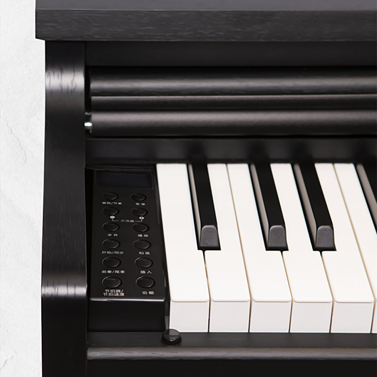 Đàn Piano Điện Apollo DP-66 - Việt Music