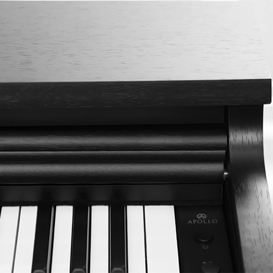 Đàn Piano Điện Apollo DP-66 - Việt Music