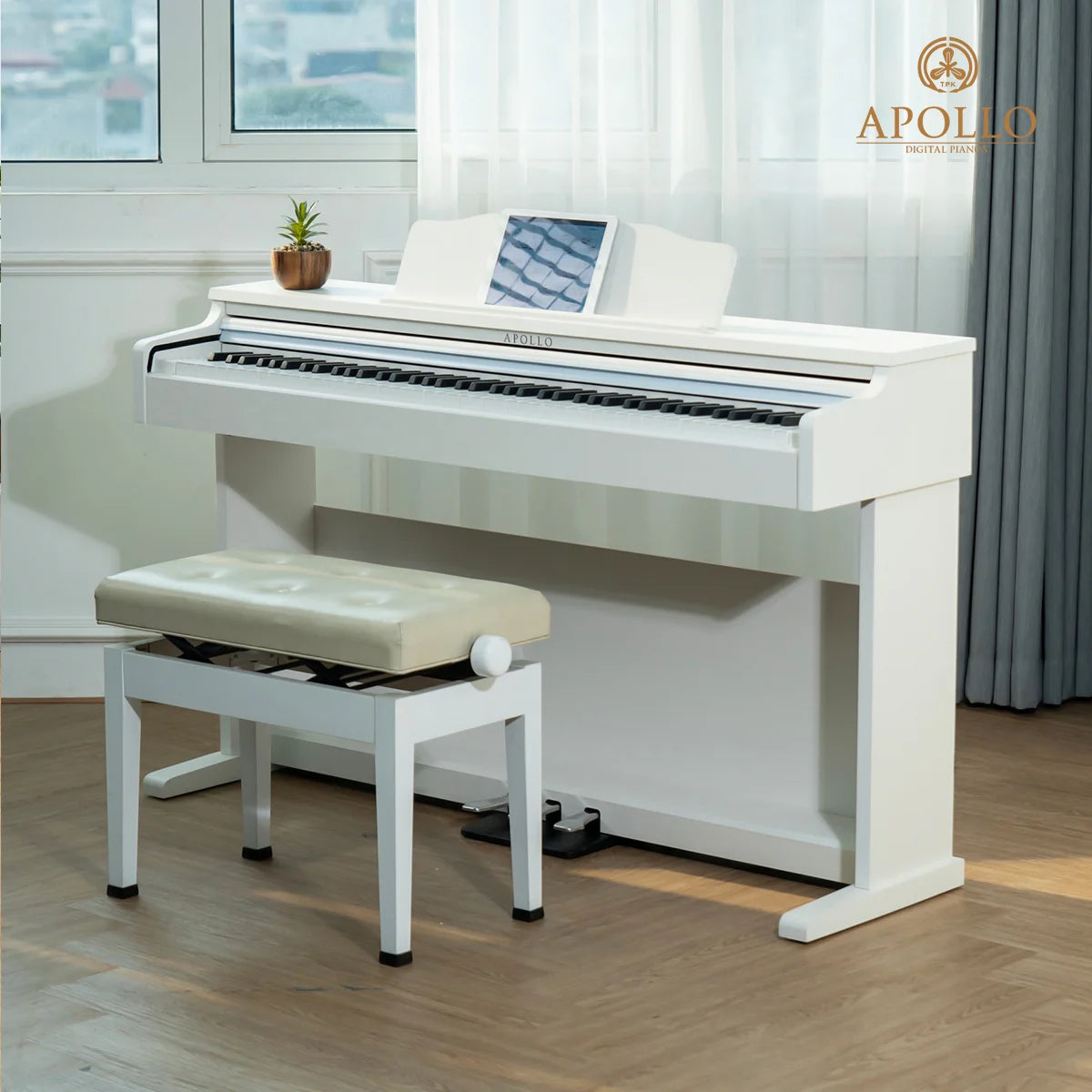 Đàn Piano Điện Apollo DP-66 - Việt Music