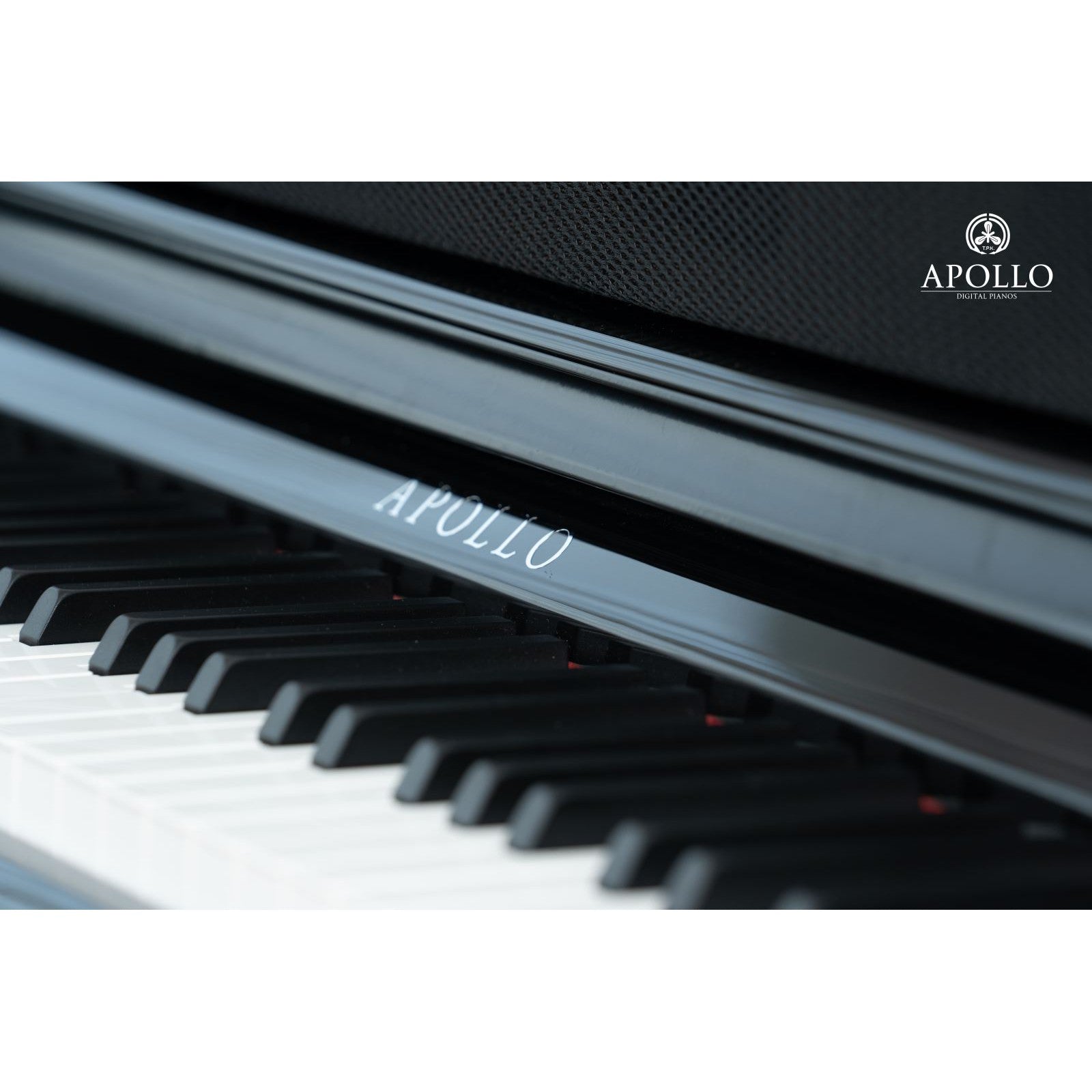 Đàn Piano Điện Apollo KP-88 - Việt Music