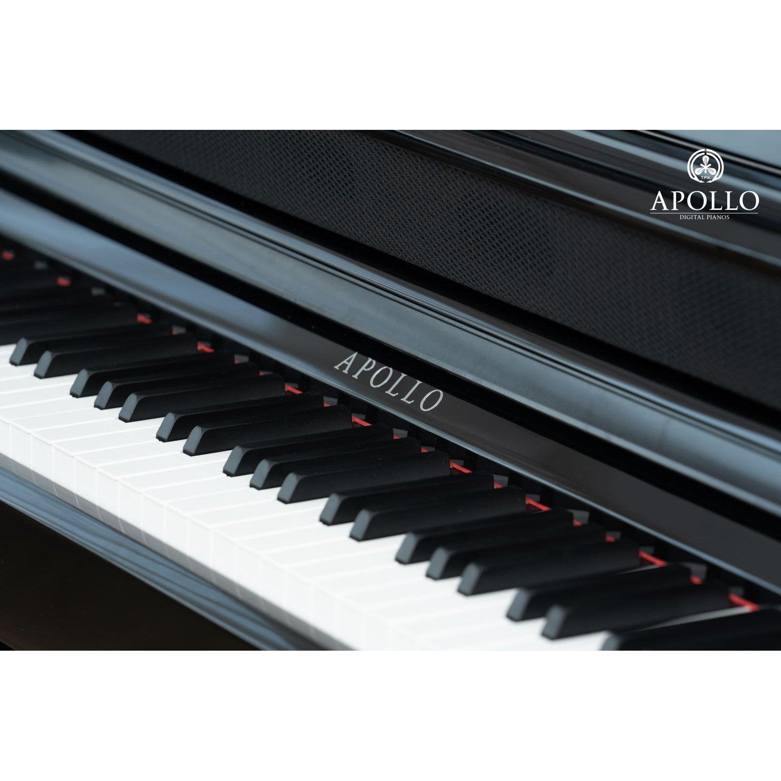 Đàn Piano Điện Apollo KP-88 - Việt Music