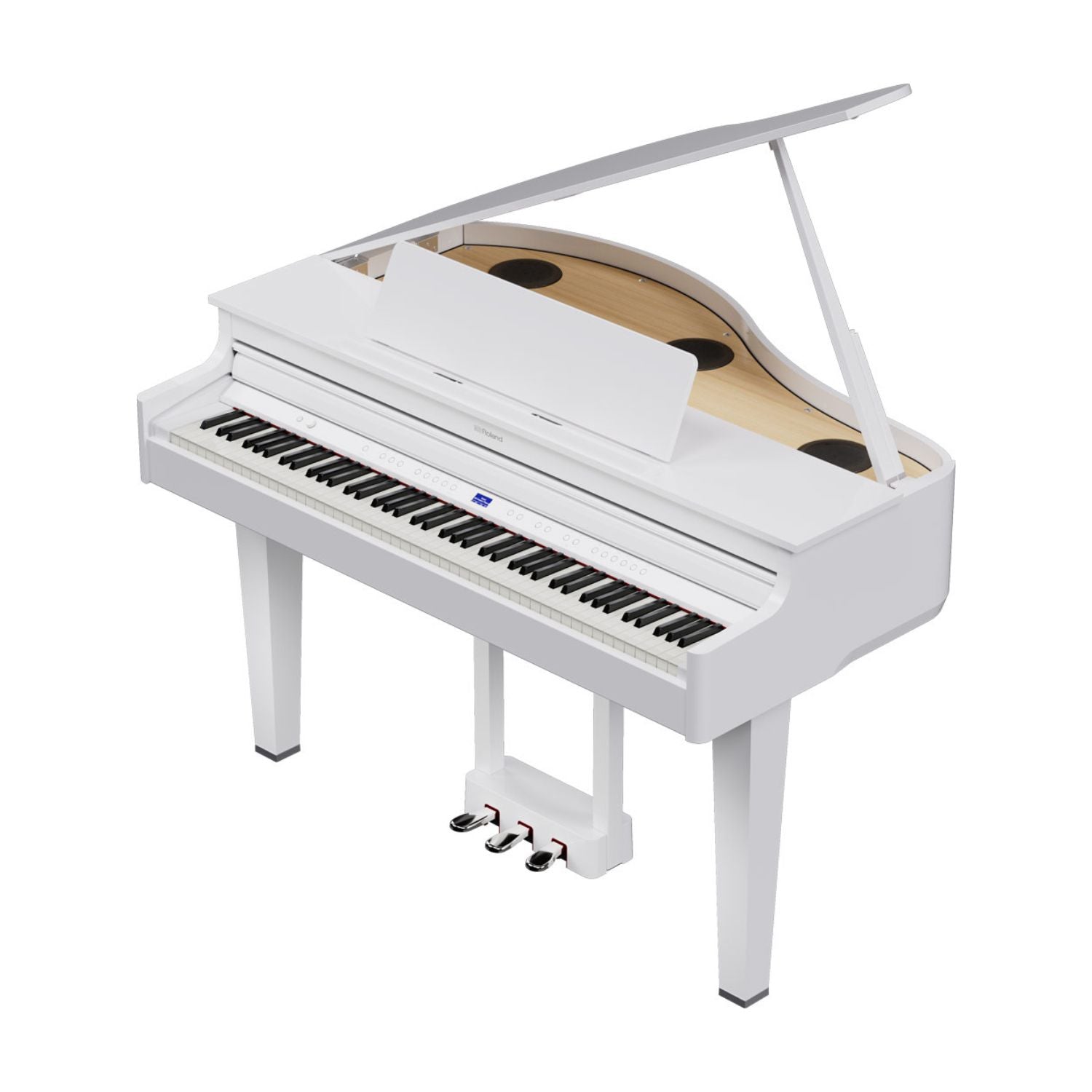 Đàn Piano Điện Roland GP - 6 - Việt Music