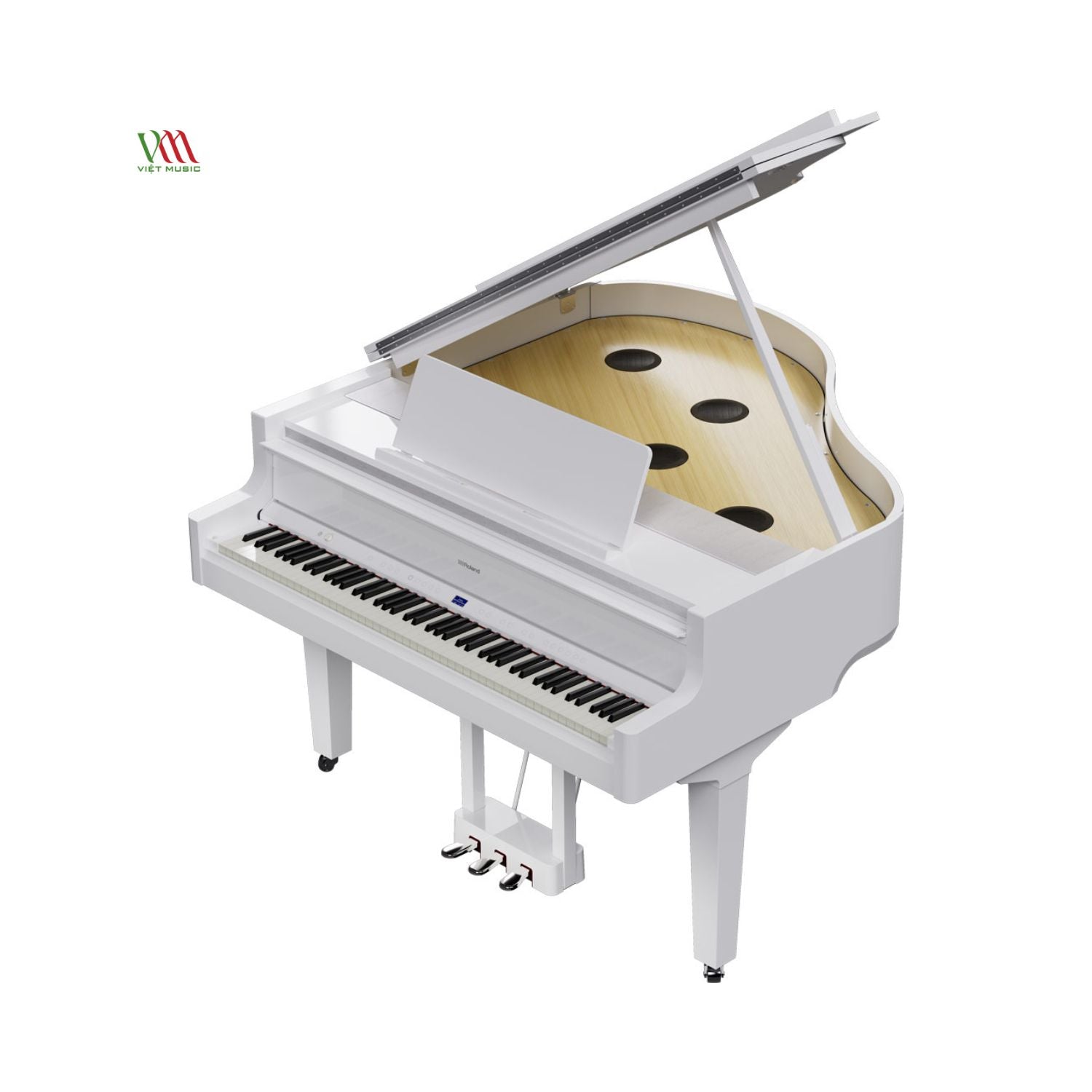 Đàn Piano Điện Roland GP-9M - Việt Music