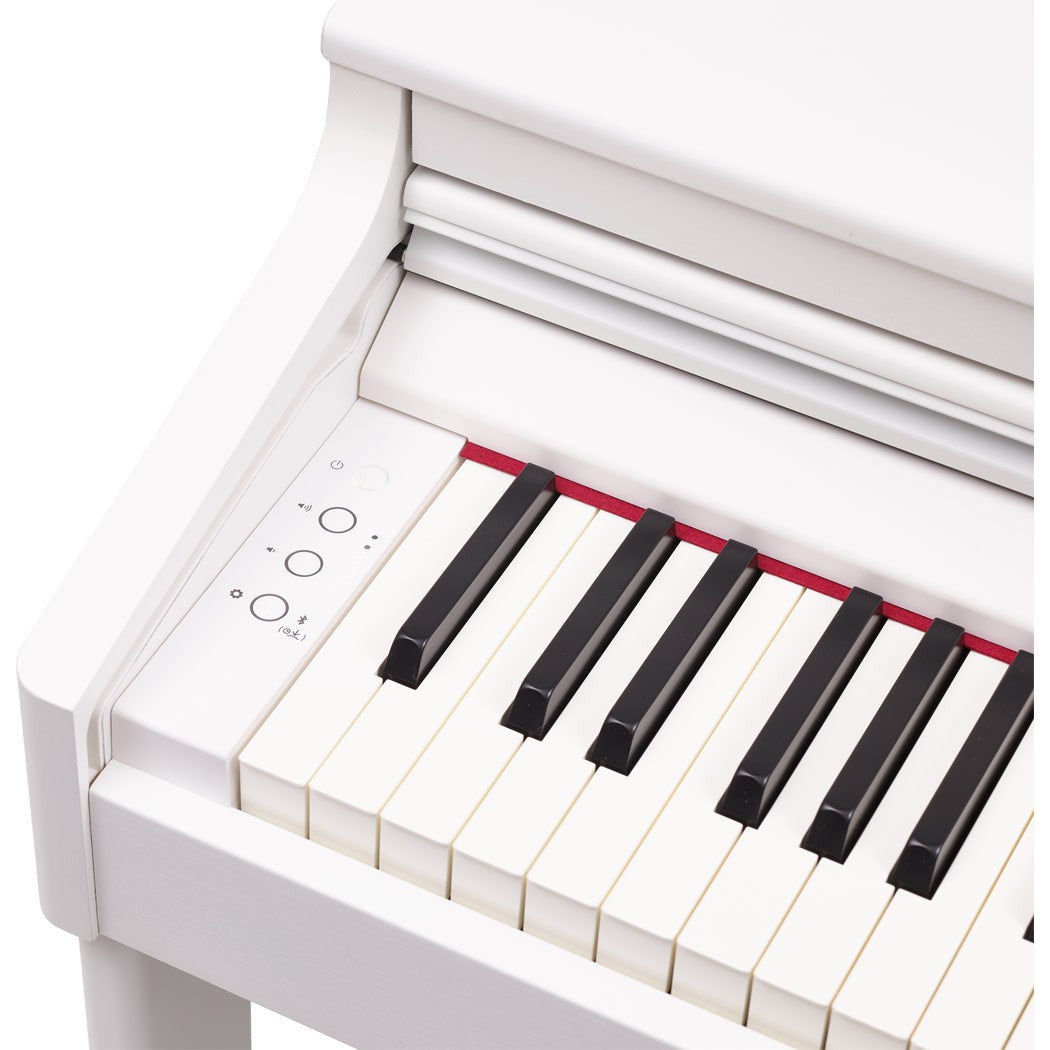 Đàn Piano Điện Roland RP - 701 - Việt Music