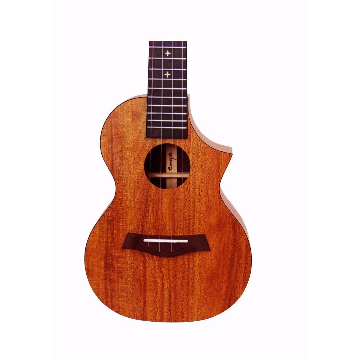 Đàn Ukulele Concert Enya EUC-X1C - Việt Music