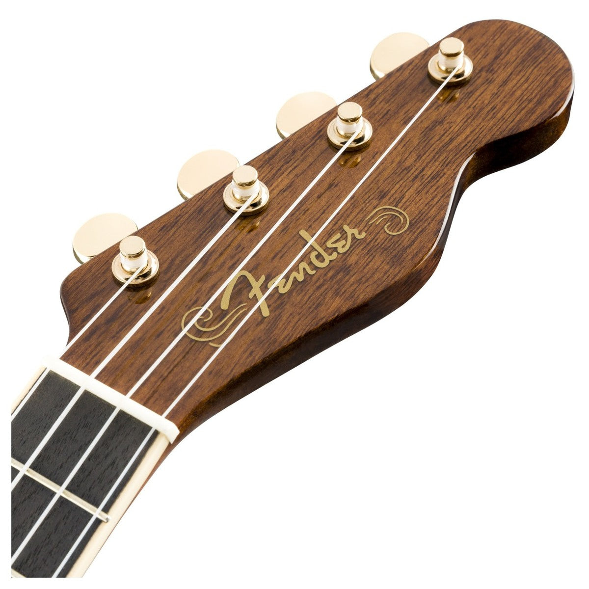 Đàn Ukulele Fender Grace VanderWaal Signature Walnut FB Concert - Việt Music