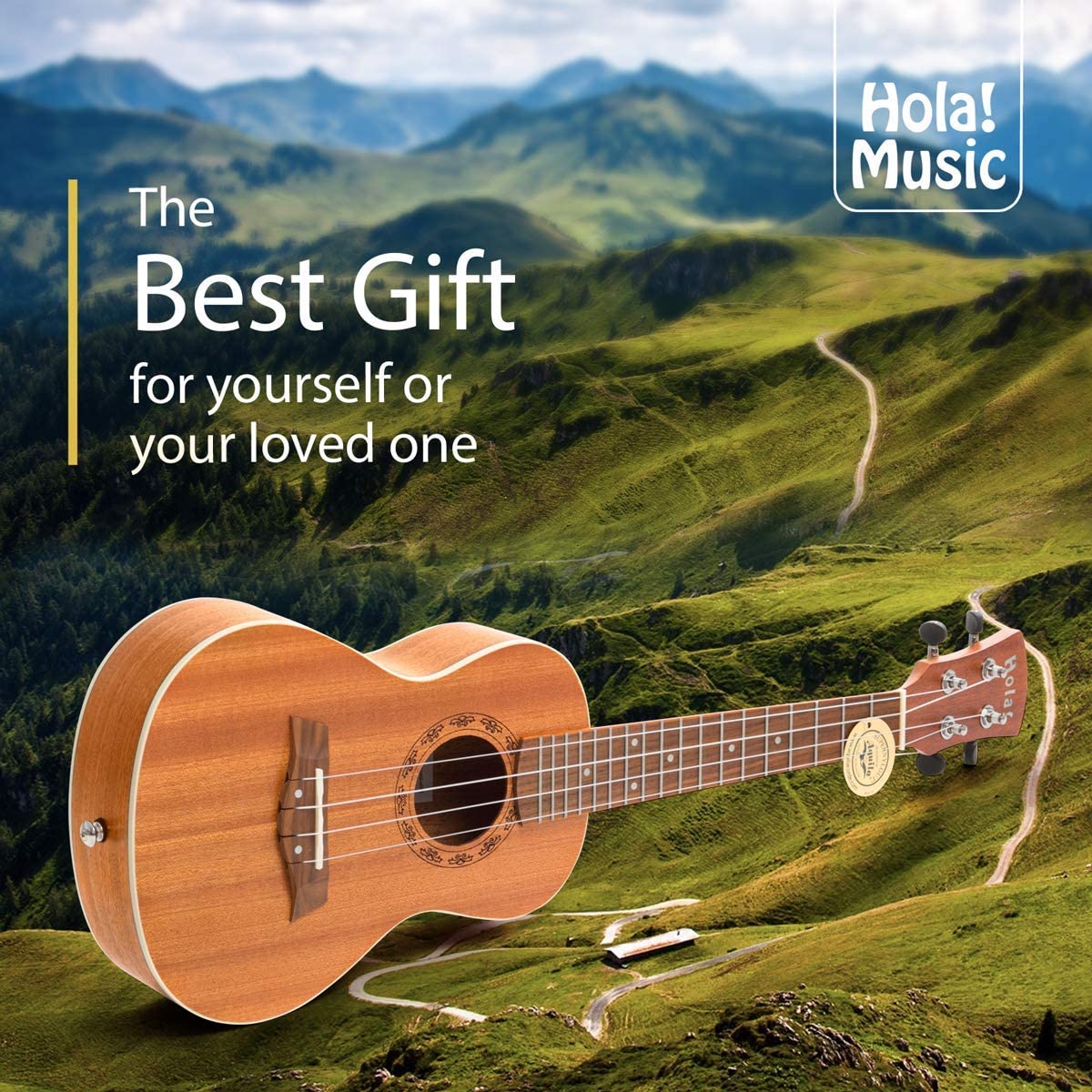 Đàn Ukulele Hola Deluxe Series Concert, Mahogany - Việt Music