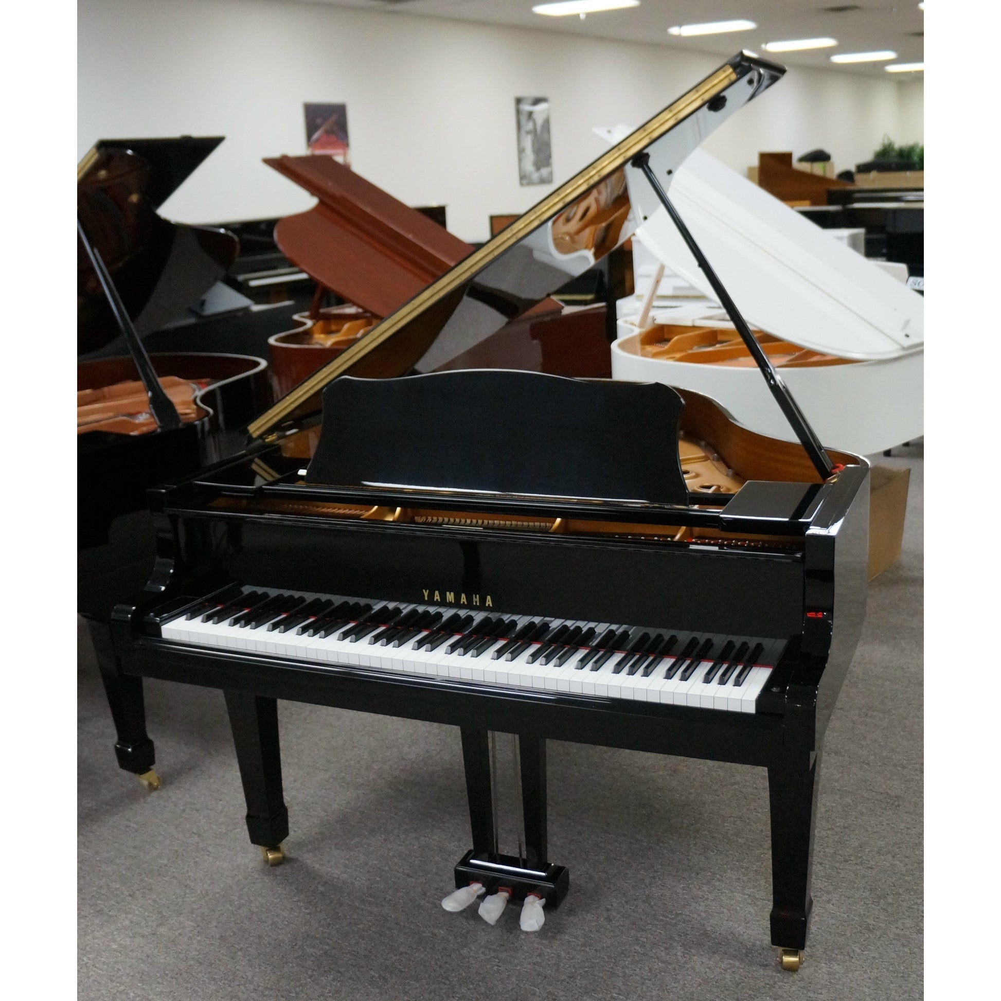 Grand Piano Yamaha C1 PE - C Series - Việt Music