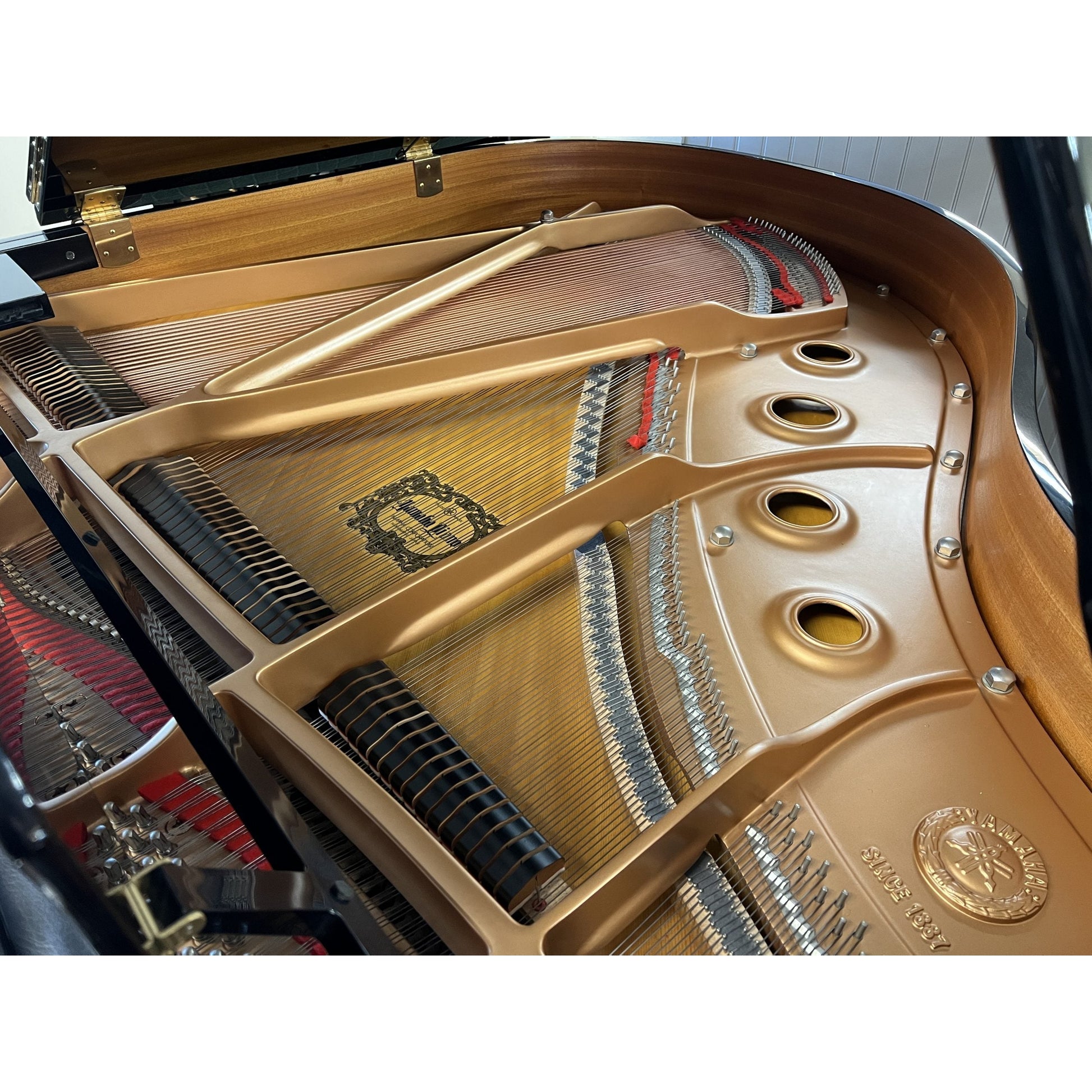 Grand Piano Yamaha C1 PE - C Series - Việt Music