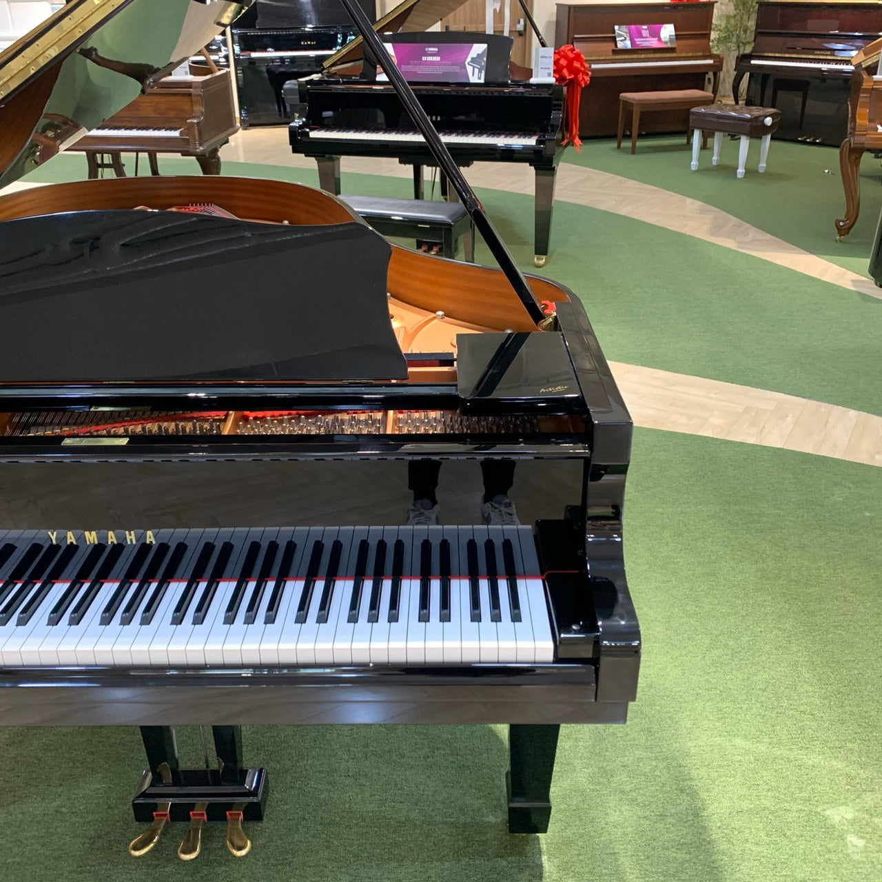 Grand Piano Yamaha C3 PE - Việt Music