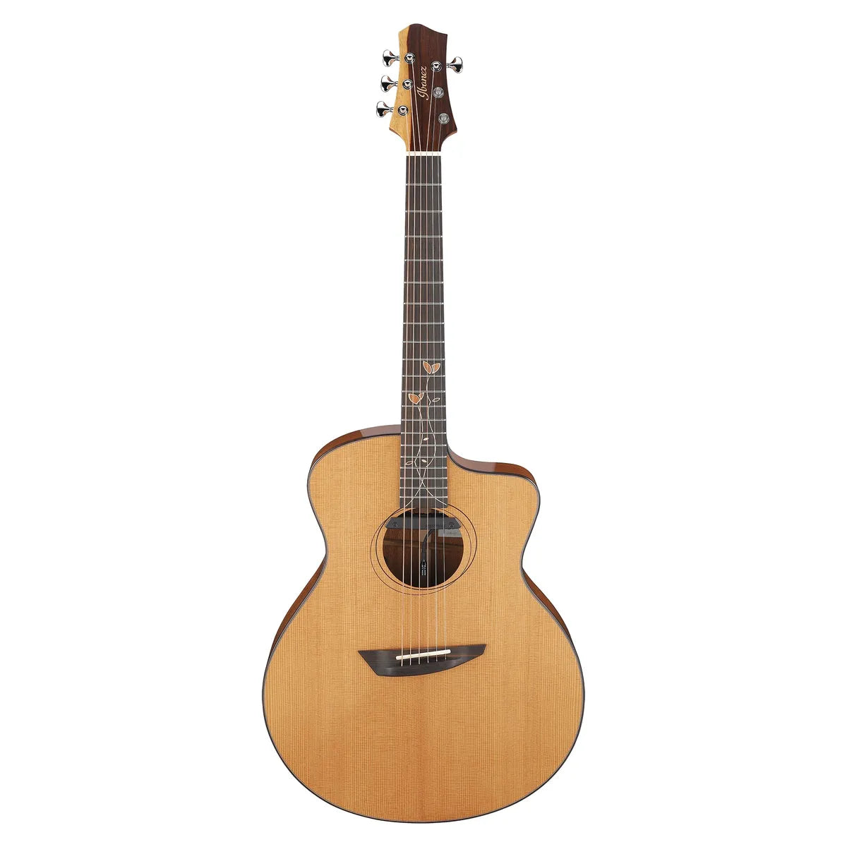 Đàn Guitar Acoustic Ibanez JGM11 - Jon Gomm Signature - Việt Music