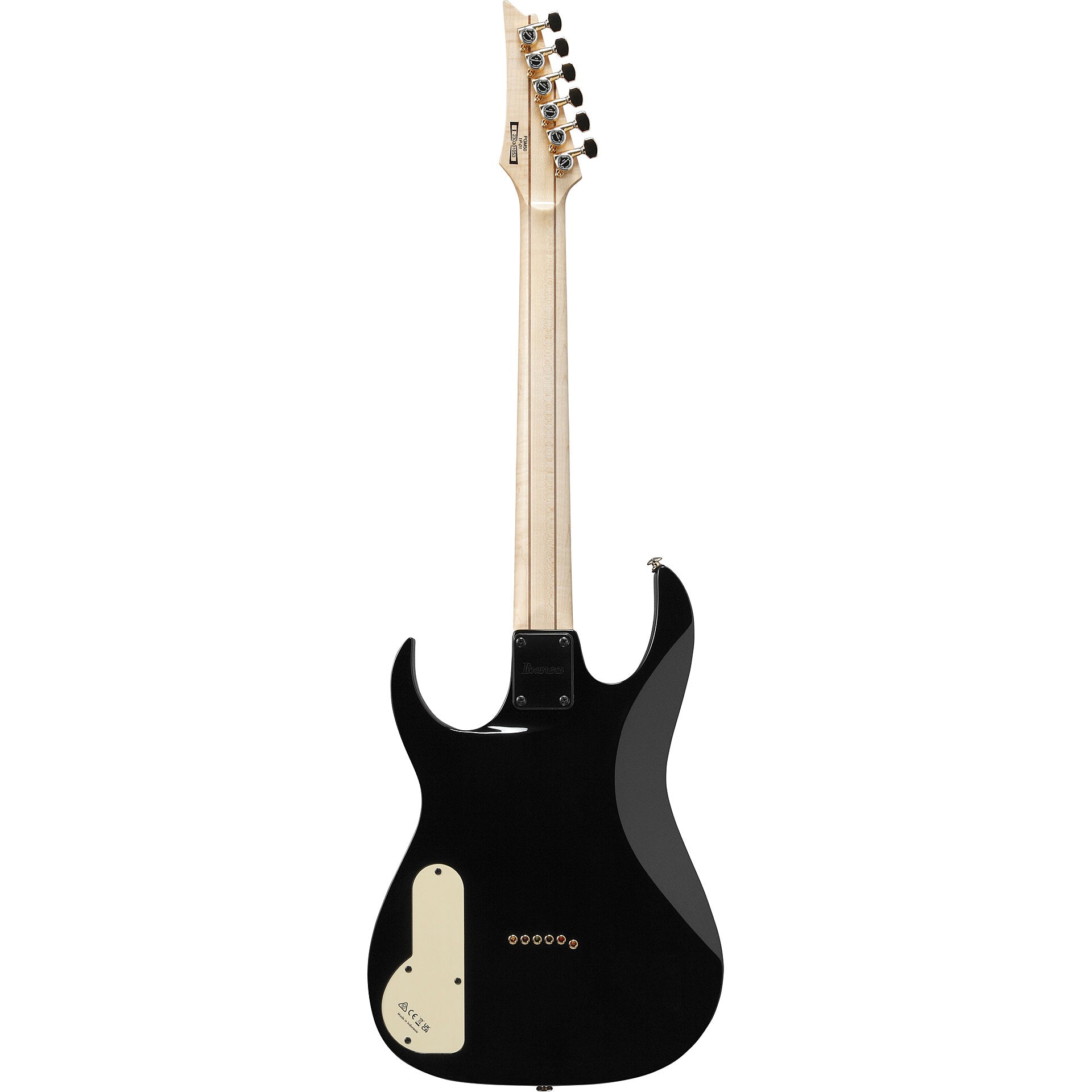 Đàn Guitar Điện Ibanez PGM50 Paul Gilbert Signature HSH, Rosewood Fingerboard, Black - Việt Music