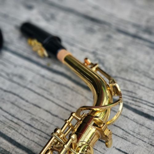 Kèn Saxophone Altor Saiger SAS-700 - Việt Music