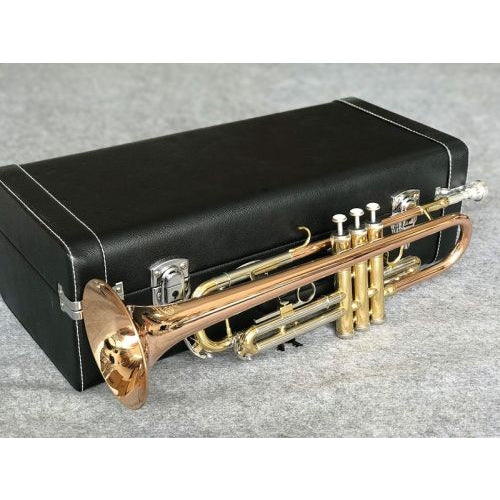 Kèn Trumpet Amati ATR-311 - Việt Music