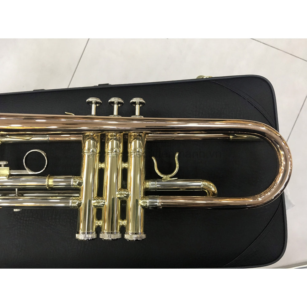 Kèn Trumpet Amati TR-300 - Việt Music