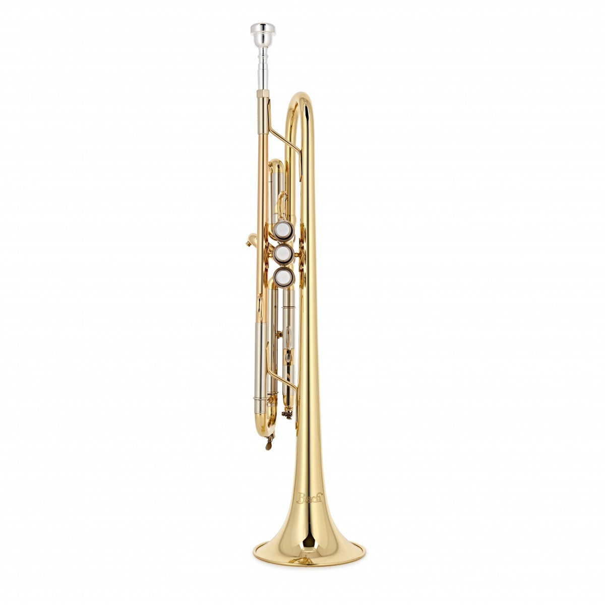 Kèn Trumpet Conn-Selmer Bach TR-650 - Việt Music