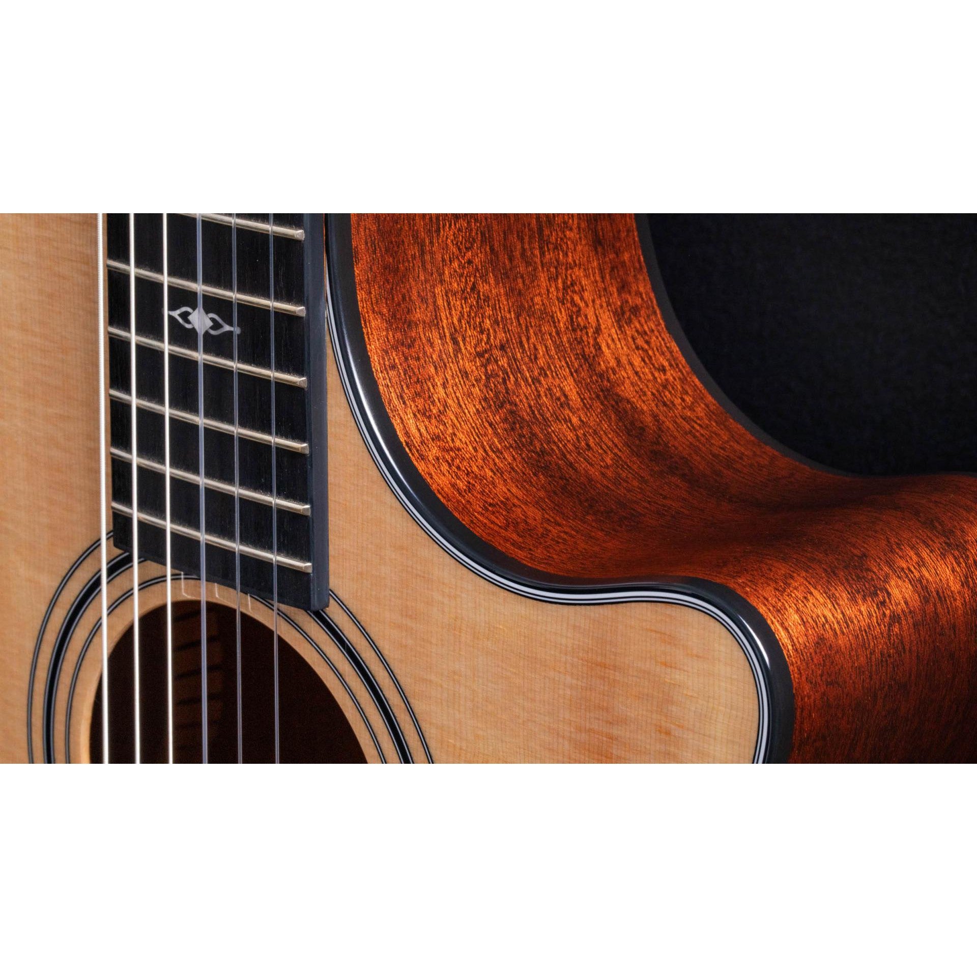 Đàn Guitar Classic Taylor 314CE-N - Grand Auditorium - Việt Music