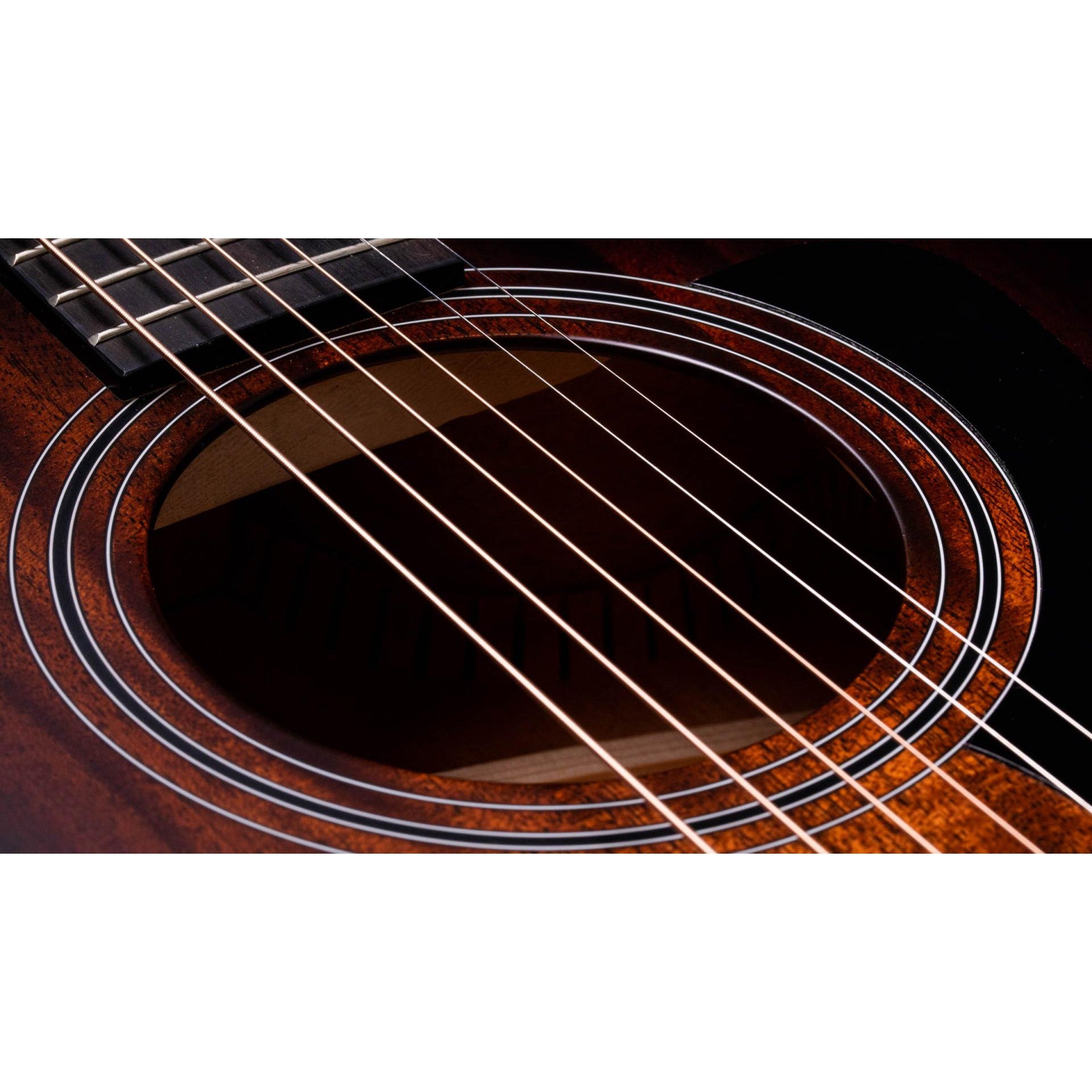 Đàn Guitar Acoustic Taylor 324CE - Grand Auditorium - Việt Music