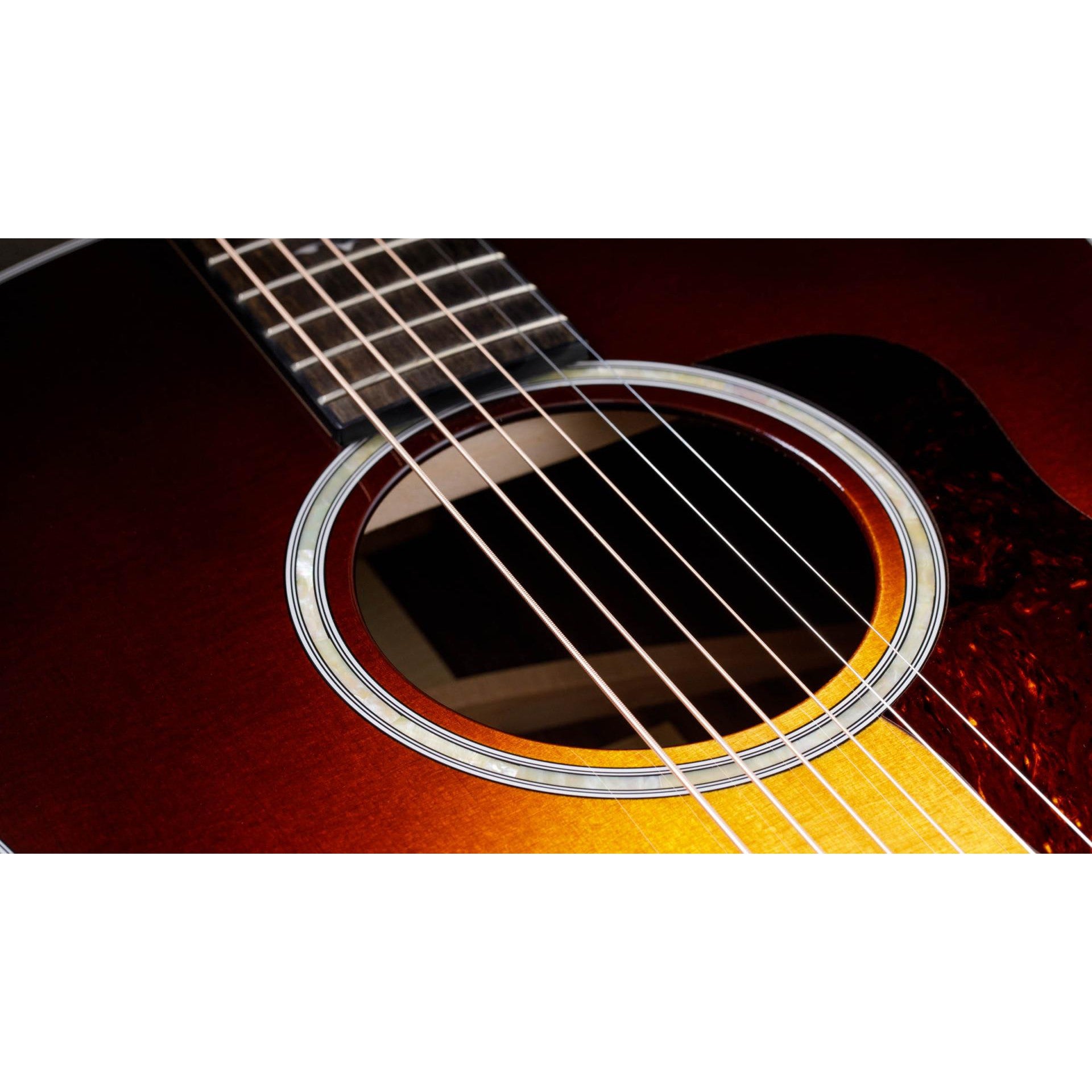 Đàn Guitar Acoustic Taylor 417E - Grand Pacific - Việt Music