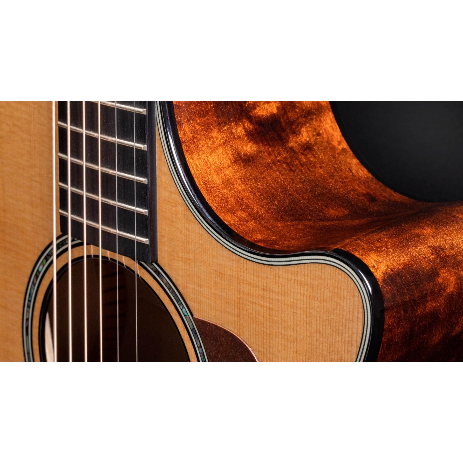 Đàn Guitar Acoustic Taylor 614CE - Grand Auditorium - Việt Music