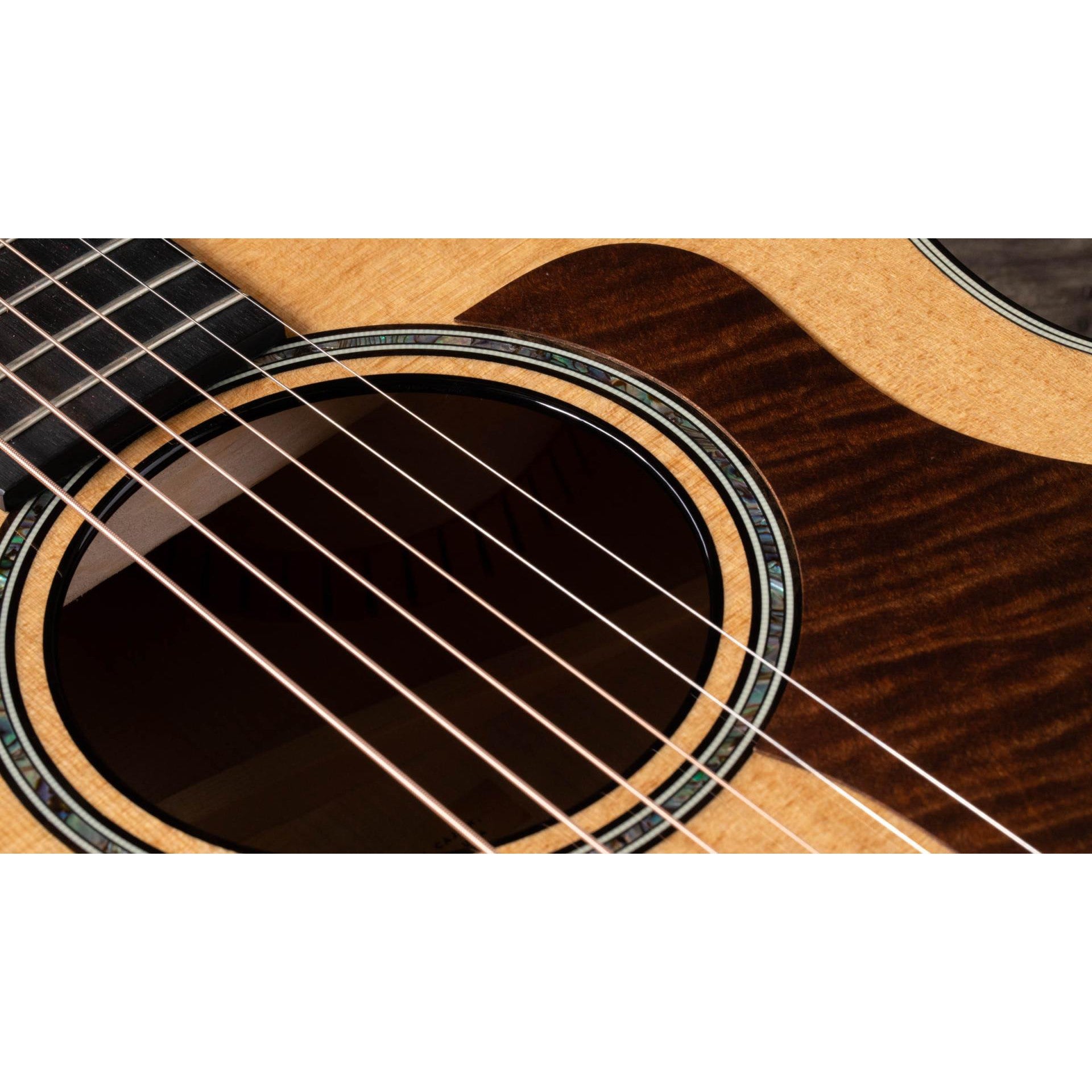 Đàn Guitar Acoustic Taylor 614CE - Grand Auditorium - Việt Music