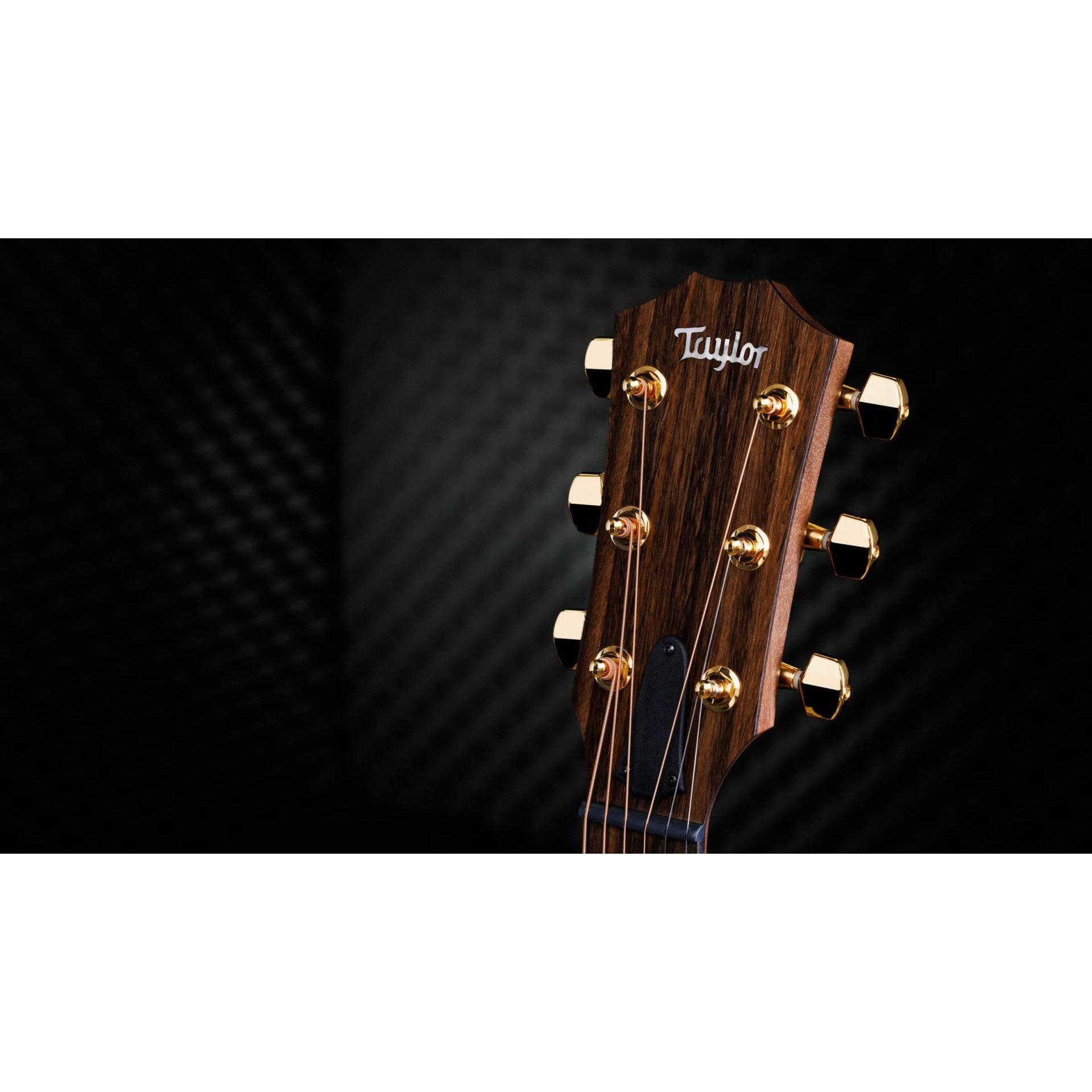 Đàn Guitar Acoustic Taylor AD14CE-SB LTD - Grand Auditorium - Việt Music