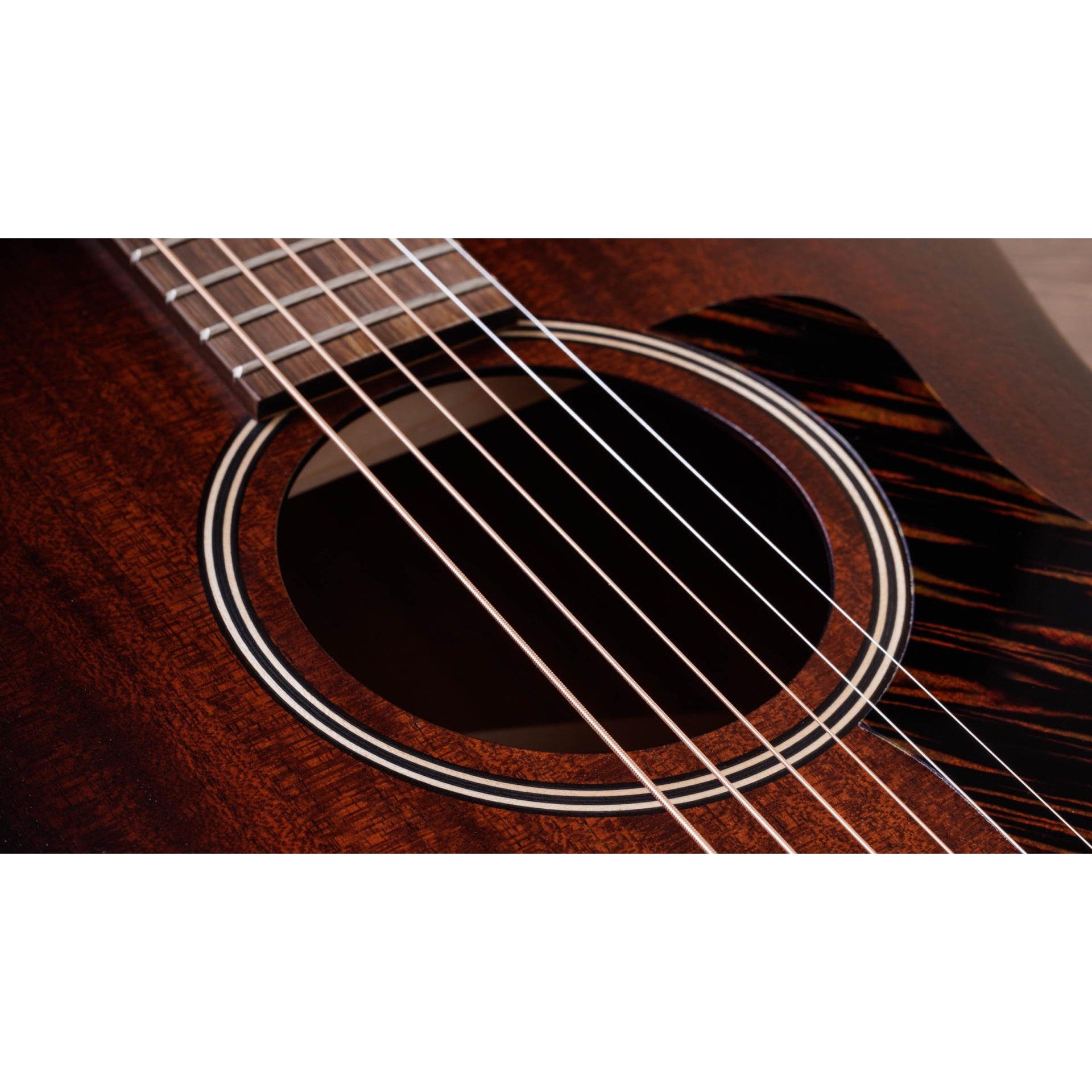 Đàn Guitar Acoustic Taylor AD21E - Taylor GT - Việt Music