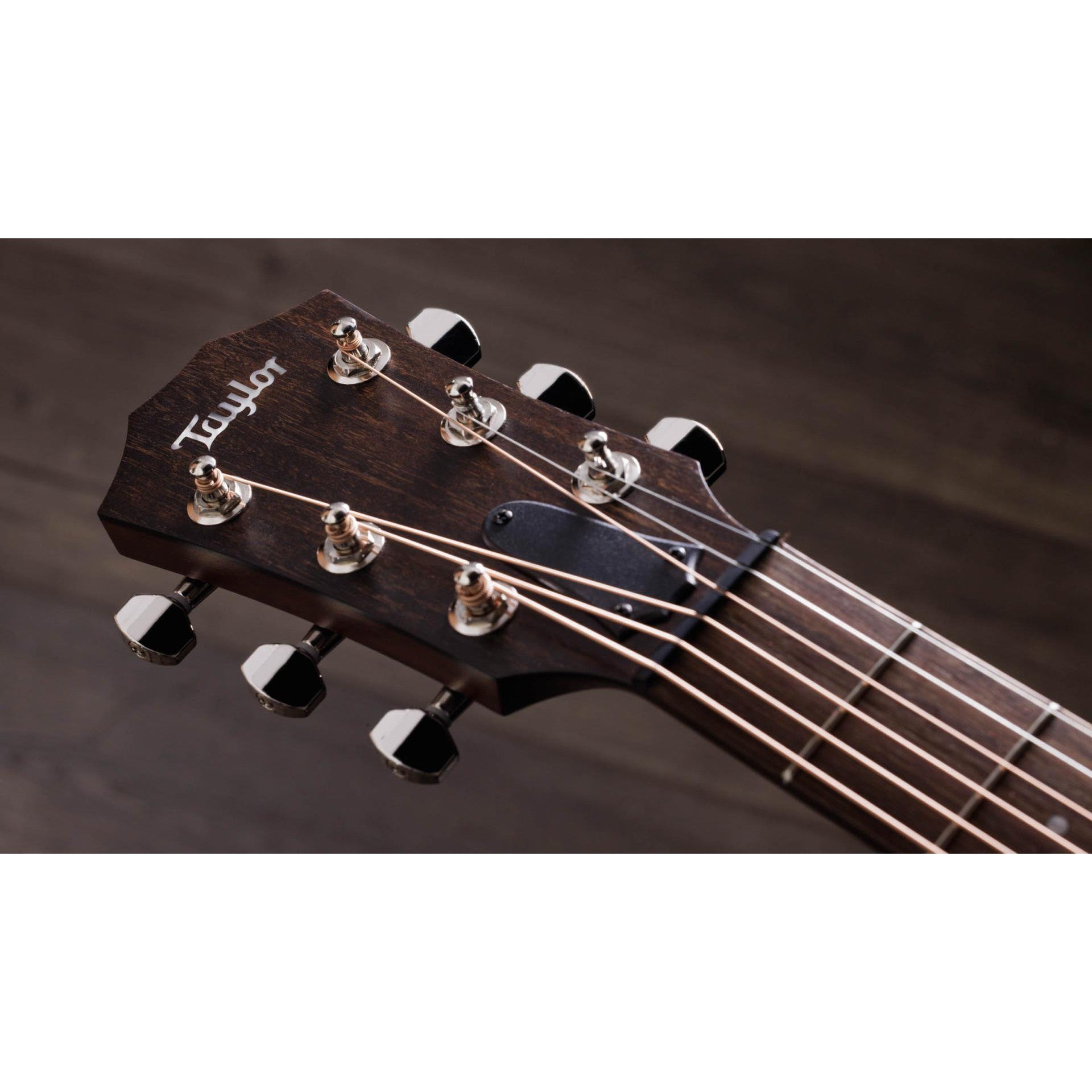 Đàn Guitar Acoustic Taylor AD21E - Taylor GT - Việt Music