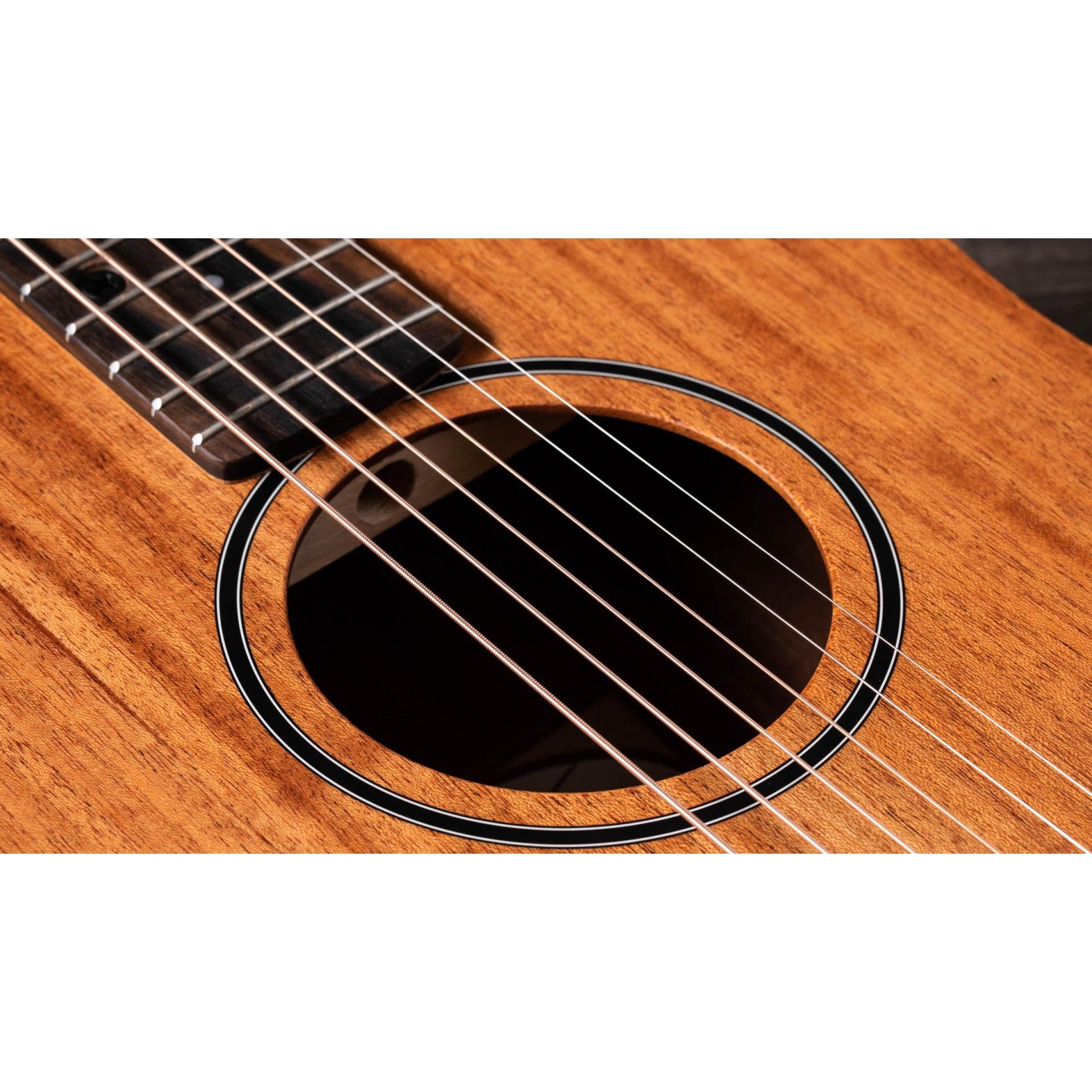 Đàn Guitar Acoustic Taylor BT2 Mahogany - Baby Taylor - Việt Music