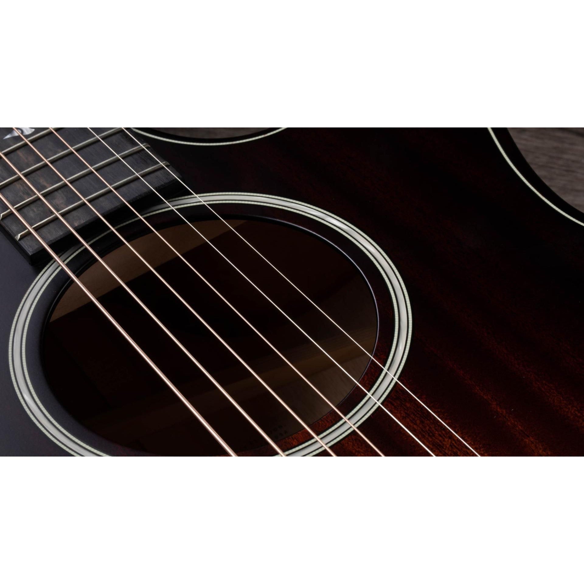 Đàn Guitar Acoustic Taylor 324CE Builder's Edition - Grand Auditorium - Việt Music