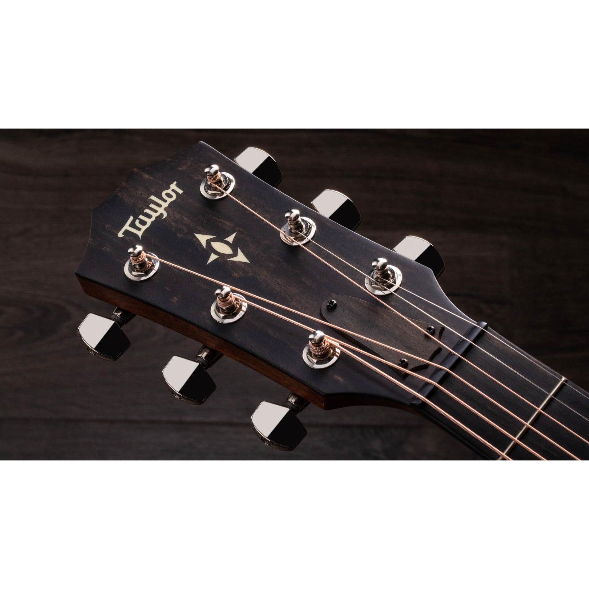 Đàn Guitar Acoustic Taylor 517E Builder's Edition - Grand Pacific - Việt Music