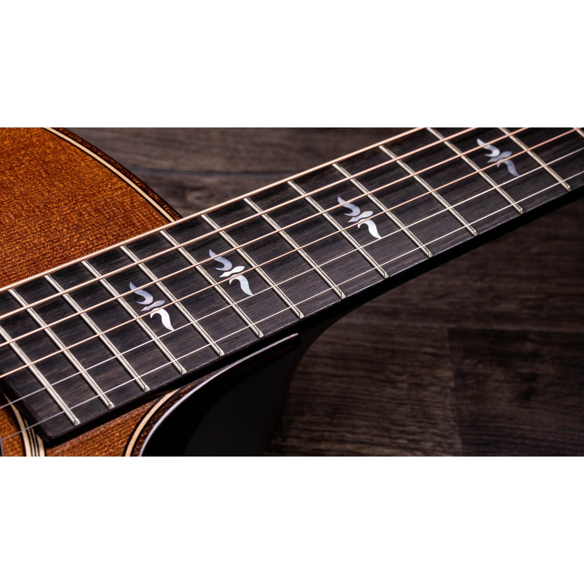 Đàn Guitar Acoustic Taylor 614CE WHB Builder's Edition - Grand Auditorium - Việt Music