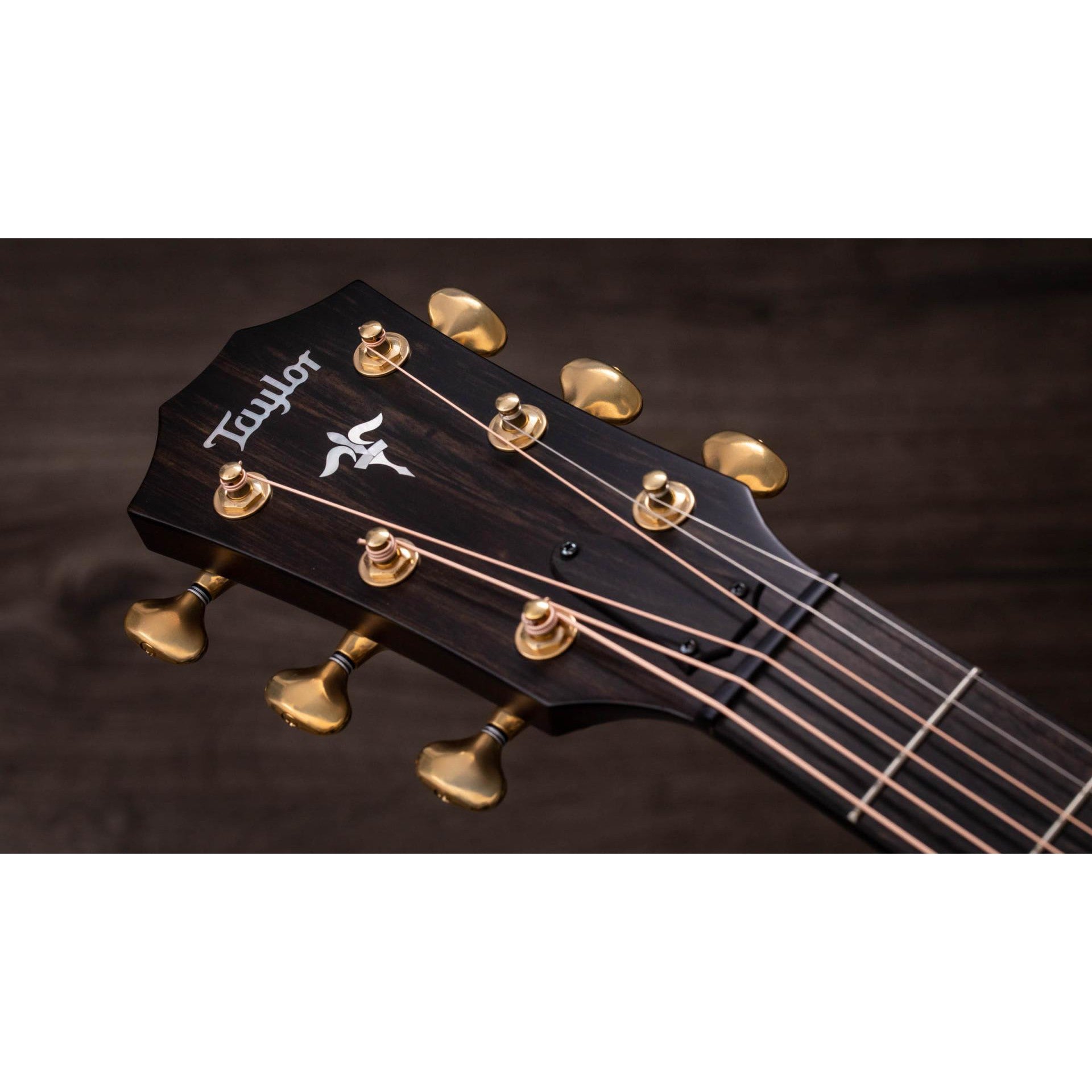 Đàn Guitar Acoustic Taylor 614CE WHB Builder's Edition - Grand Auditorium - Việt Music