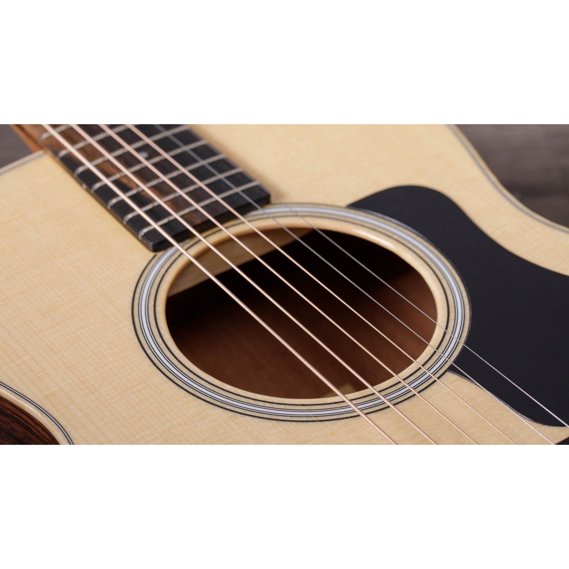 Đàn Guitar Acoustic Taylor GS Mini-E Rosewood Plus - Việt Music